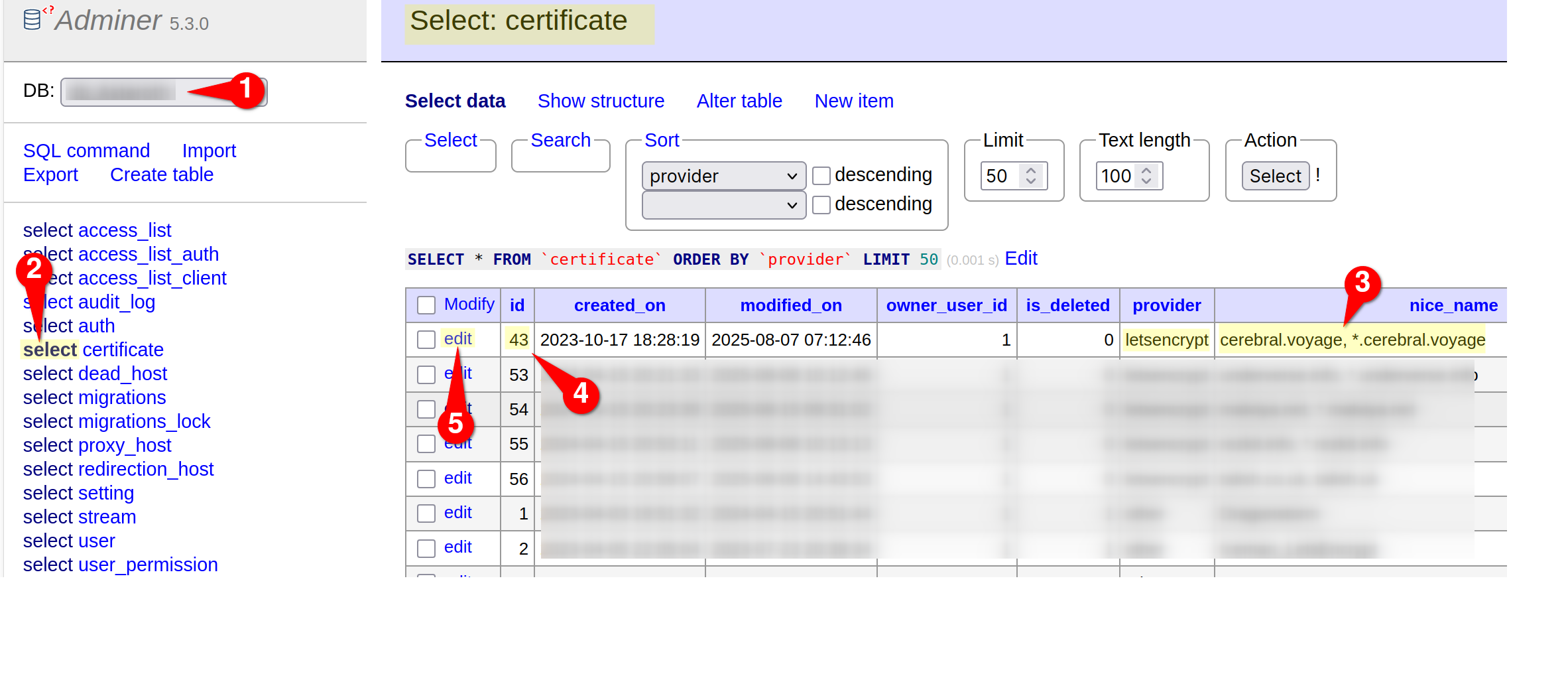 Changing DNS Provider for Lets Encrypt in NGINX Proxy Manager