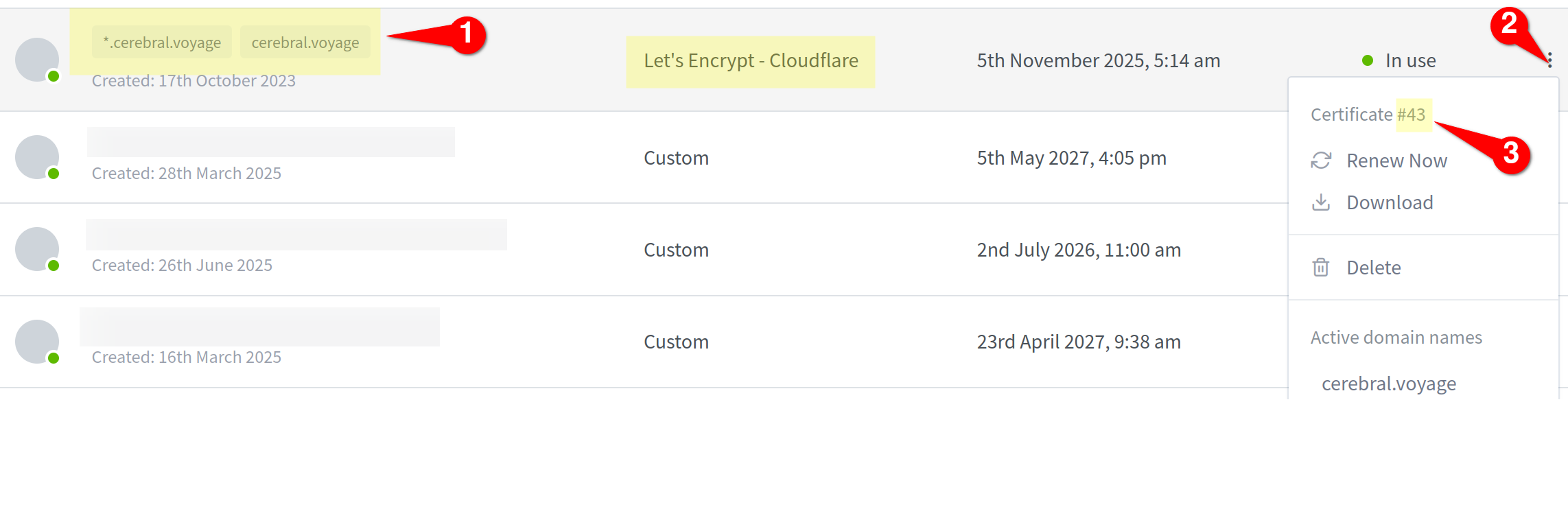Changing DNS Provider for Lets Encrypt in NGINX Proxy Manager